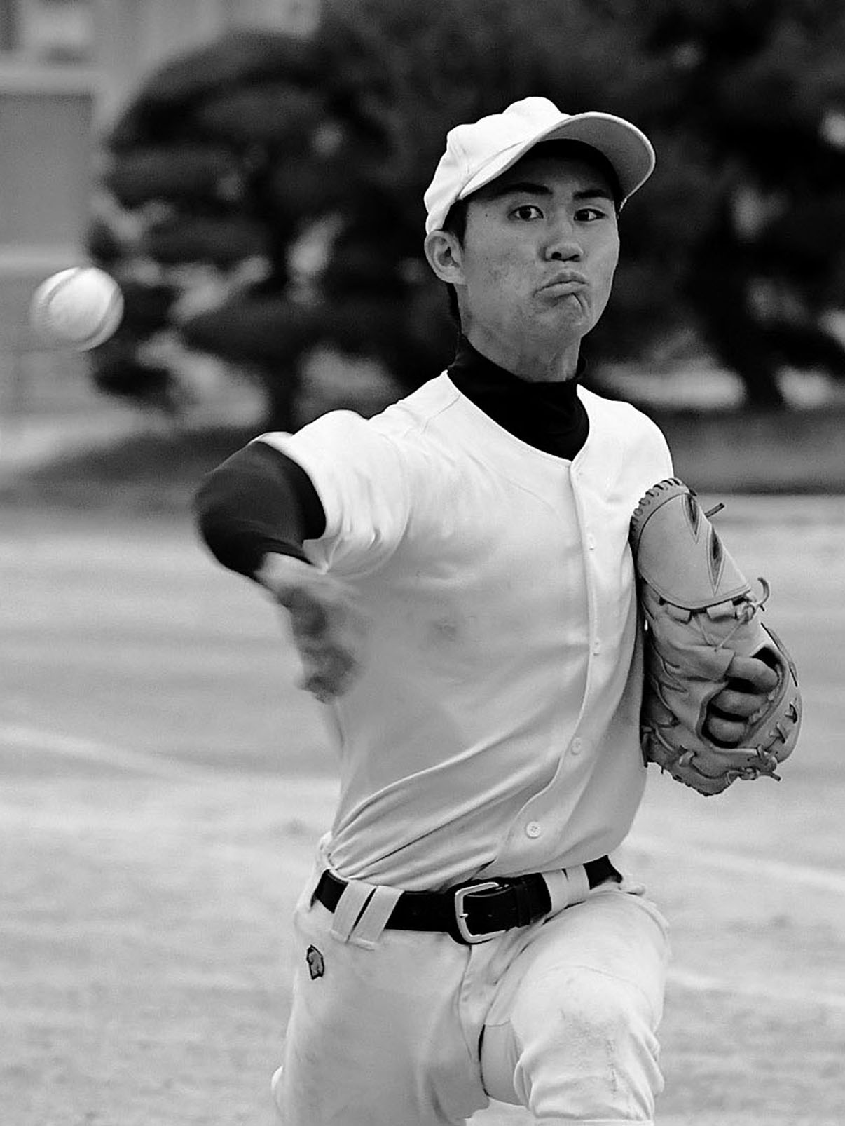 高校野球】シード16校 戦力分析（3） | 埼玉新聞社 高校受験ナビ